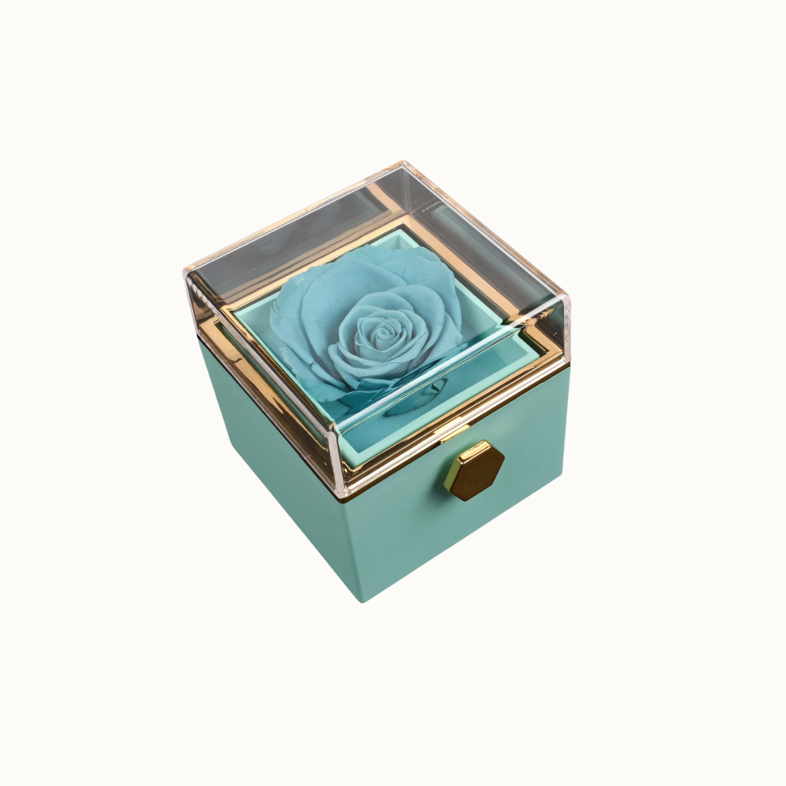 Écrin Rose Éternelle & Collier Gravé